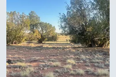 349Sw Rocky Top Road, Seligman, AZ 86337 - Photo 9