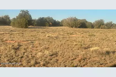 349Se Rocky Top Road, Seligman, AZ 86337 - Photo 3