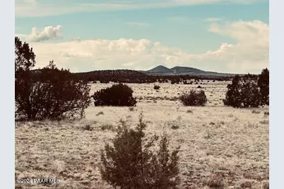 424Nw Deliverance Road, Seligman, AZ 86337 - Photo 1