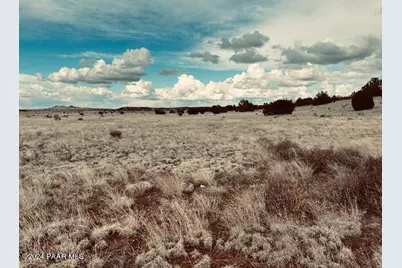 424Nw Deliverance Road, Seligman, AZ 86337 - Photo 5