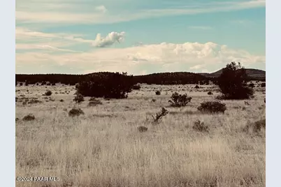 424Nw Deliverance Road, Seligman, AZ 86337 - Photo 3