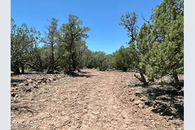 1148 Floyd Ranch, Seligman, AZ 86337 - Photo 5