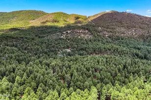 6231 S Champion Way Rd, Prescott, AZ 86303 - Photo 35