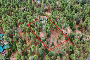 6231 S Champion Way Rd, Prescott, AZ 86303 - Photo 41