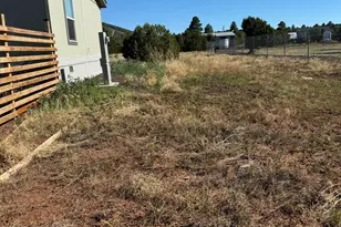 871 E Alimos Way, Williams, AZ 86046 - Photo 3