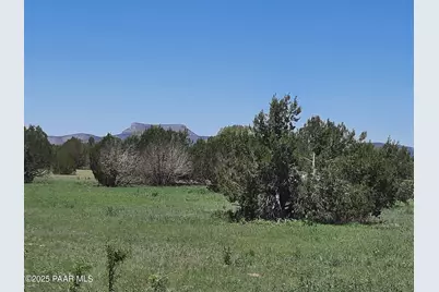 Lot 1316 Anvil Rock Rd, Seligman, AZ 86337 - Photo 5
