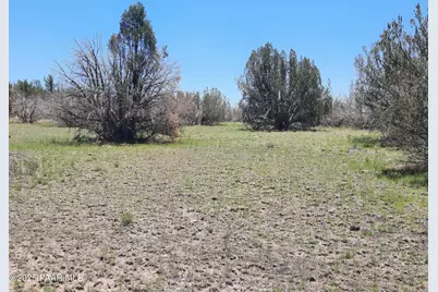 Lot 1316 Anvil Rock Rd, Seligman, AZ 86337 - Photo 3