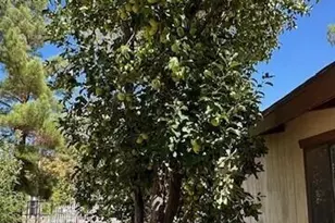 12921 E Central Ave, Mayer, AZ 86333 - Photo 35