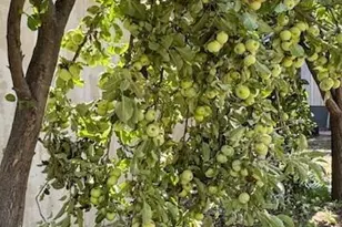 12921 E Central Ave, Mayer, AZ 86333 - Photo 37