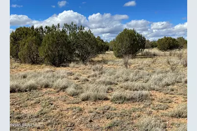 0 Honey Bee Lane, Seligman, AZ 86337 - Photo 15