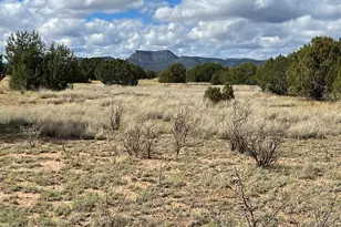 0 Honey Bee Ln, Seligman, AZ 86337 - Photo 1