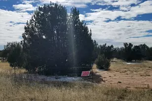 4476 Northview Blvd, Ash Fork, AZ 86320 - Photo 1