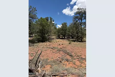 56045 Mesa Parkway, Seligman, AZ 86337 - Photo 5