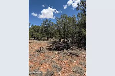 56045 Mesa Parkway, Seligman, AZ 86337 - Photo 7