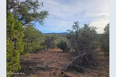 56045 Mesa Parkway, Seligman, AZ 86337 - Photo 15