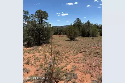 56045 Mesa Parkway, Seligman, AZ 86337 - Photo 9
