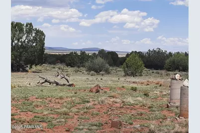 47683 N Deadwood Drive, Seligman, AZ 86337 - Photo 17