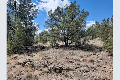 52852 N Calle Campo, Seligman, AZ 86337 - Photo 3