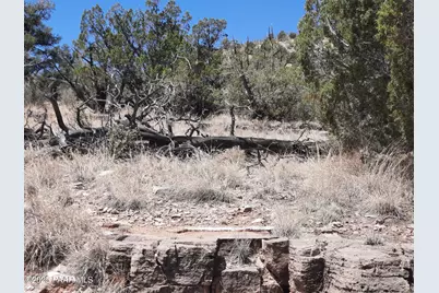 52852 N Calle Campo, Seligman, AZ 86337 - Photo 5