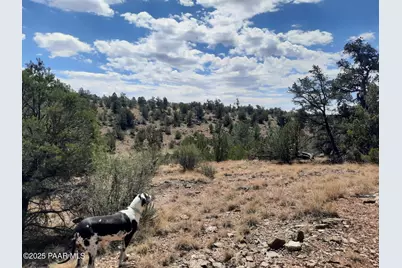 52852 N Calle Campo, Seligman, AZ 86337 - Photo 1