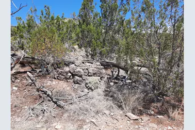 52852 N Calle Campo, Seligman, AZ 86337 - Photo 9