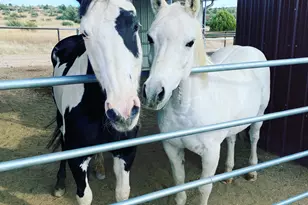 4675 W Trevor Trail, Prescott, AZ 86305 - Photo 31