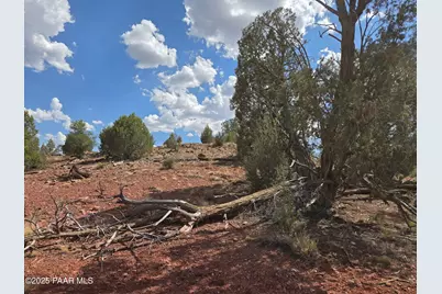 215 Off Cathedral Valley, Ash Fork, AZ 86320 - Photo 11