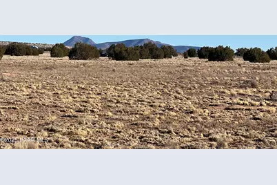 53402 N. Carlita Dr., Seligman, AZ 86337 - Photo 1