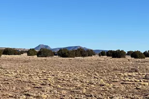 53402 N Carlita Dr, Seligman, AZ 86337 - Photo 1