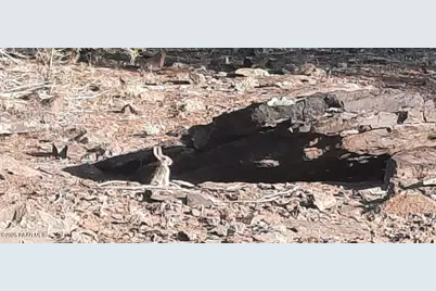 Xxxx Martinez, Williams, AZ 86046 - Photo 15