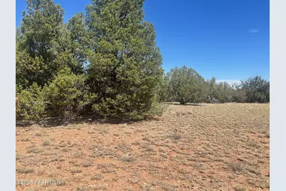 32970 Forest Lane, Seligman, AZ 86337 - Photo 1