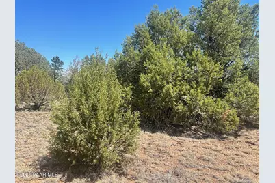 32970 Forest Lane, Seligman, AZ 86337 - Photo 3