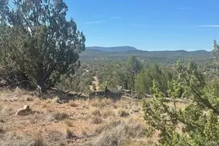 58558 N Shadow Mountain Pkwy, Seligman, AZ 86337 - Photo 31