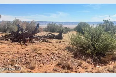 58558 N Shadow Mountain Parkway, Seligman, AZ 86337 - Photo 35