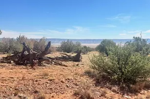 58558 N Shadow Mountain Pkwy, Seligman, AZ 86337 - Photo 35