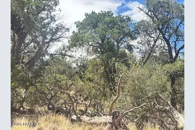 1020 Duffis Bluff Road, Seligman, AZ 86337 - Photo 1