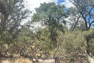 1020 Duffis Bluff Rd, Seligman, AZ 86337 - Photo 1