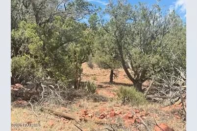 1020 Duffis Bluff Road, Seligman, AZ 86337 - Photo 15