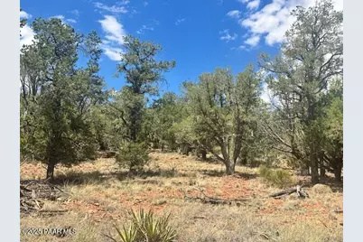 1020 Duffis Bluff Road, Seligman, AZ 86337 - Photo 9