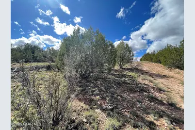 54413 Thunderbird Lane, Seligman, AZ 86337 - Photo 5