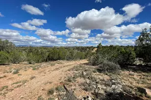 54413 Thunderbird Ln, Seligman, AZ 86337 - Photo 1