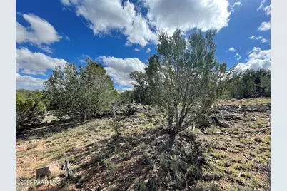 54413 Thunderbird Lane, Seligman, AZ 86337 - Photo 3