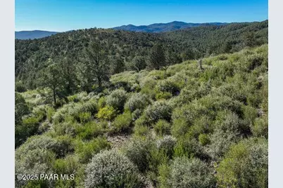 699 Goldenoak Circle, Prescott, AZ 86303 - Photo 13