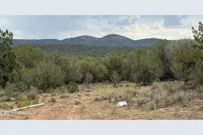 40670 W Scout Trail, Seligman, AZ 86337 - Photo 15