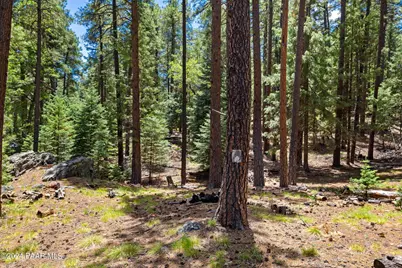 2695 E Big Four Road, Prescott, AZ 86303 - Photo 19