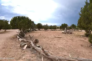 45437 N Jacqueline Hill Dr, Ash Fork, AZ 86320 - Photo 41