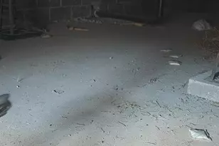 26600 N Feather Mountain Rd, Paulden, AZ 86334 - Photo 49