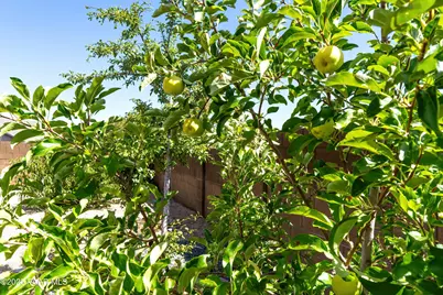 4435 N Dryden Street, Prescott Valley, AZ 86314 - Photo 37