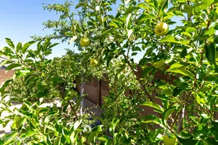 4435 N Dryden St, Prescott Valley, AZ 86314 - Photo 37