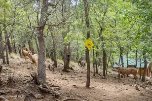 2550 E Old Miner Rd, Prescott, AZ 86303 - Photo 59